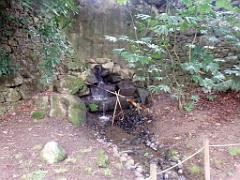 149 PARC ORIENTAL DE MAULEVIER MAINE ET LOIRE 2016 N1_000029